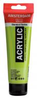 Talens Amsterdam acrylic paint 120 ml 617 - Yellow green - #597486