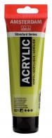 Talens Amsterdam acrylic paint 120 ml 621 - Olive Green Light - #596912