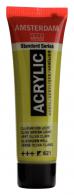 Talens Amsterdam acrylic paint 20 ml 621 - Olive Green Light - #597462