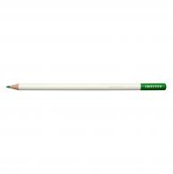 Tombow Irojiten Colored Pencil - Parrot Green - #593823