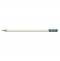 Tombow Irojiten Colored Pencil - Scouring Rush - #593891